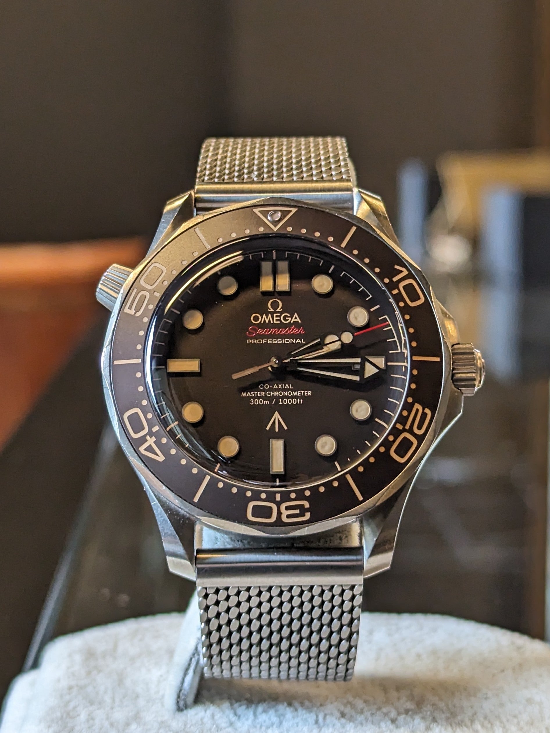 Omega Seamaster Diver Titanium