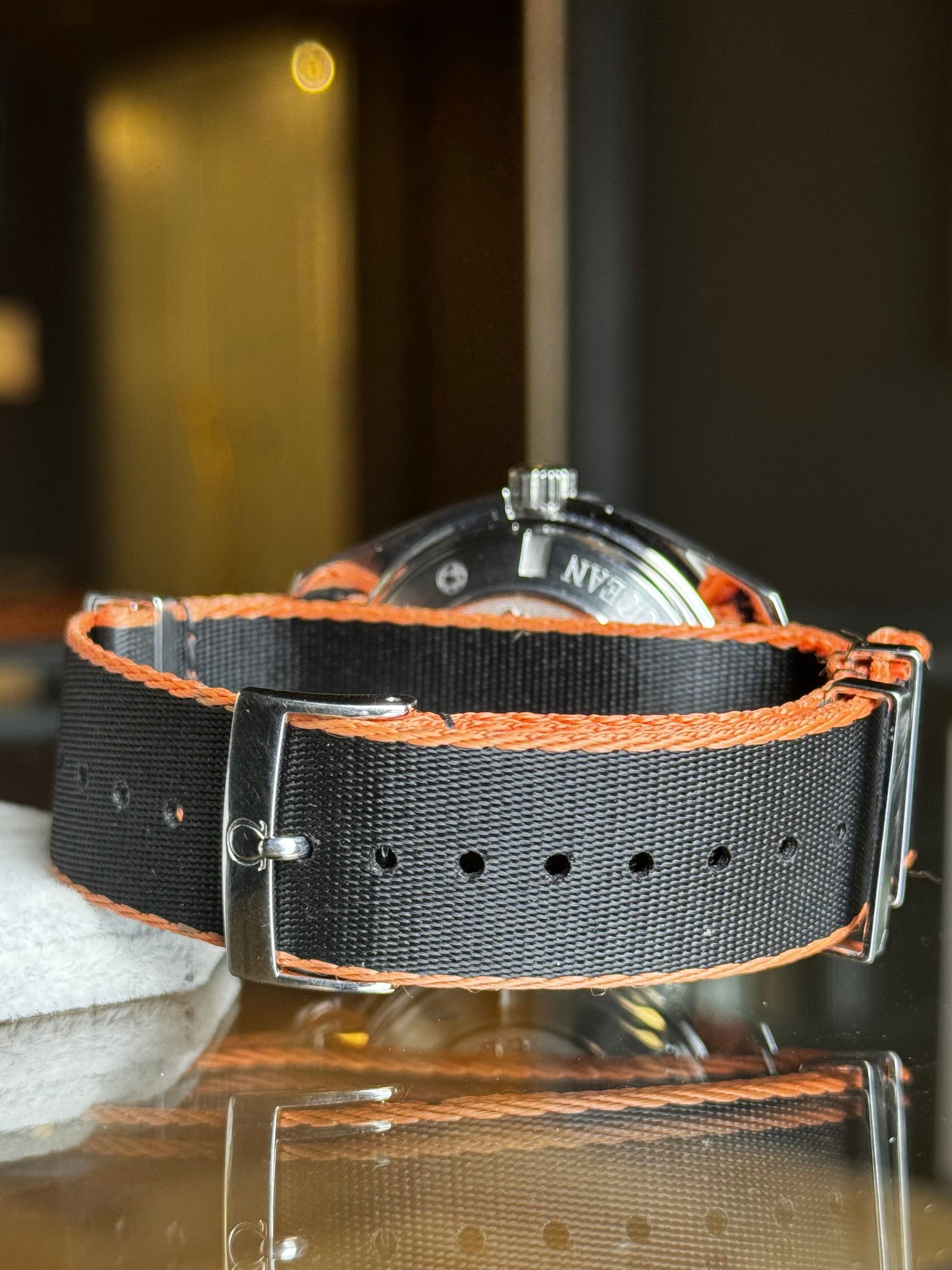 Omega Seamaster Planet Ocean
